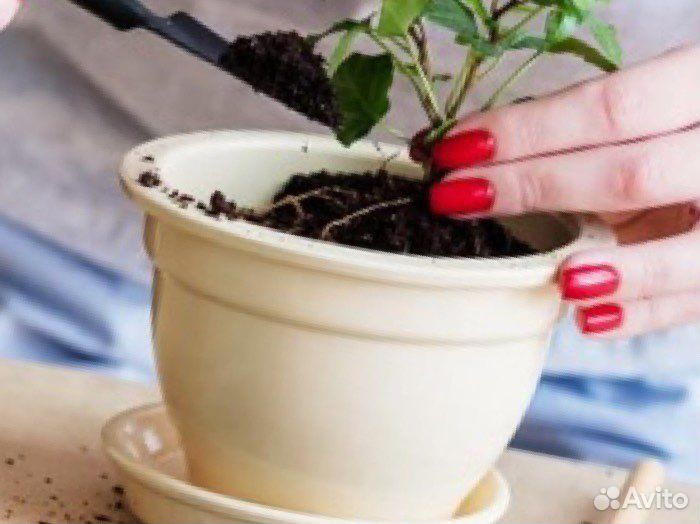 Земля плодородная