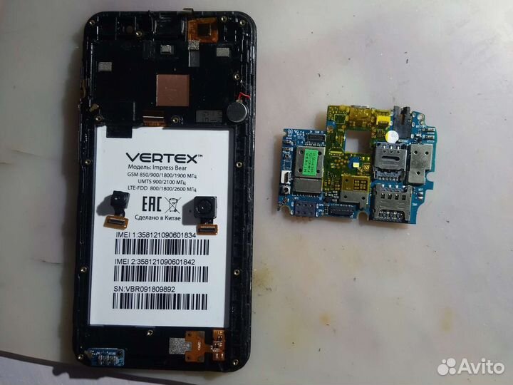 Vertex Impress Bear №580