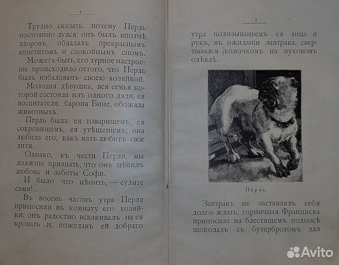 Антикварная книга 1899 год