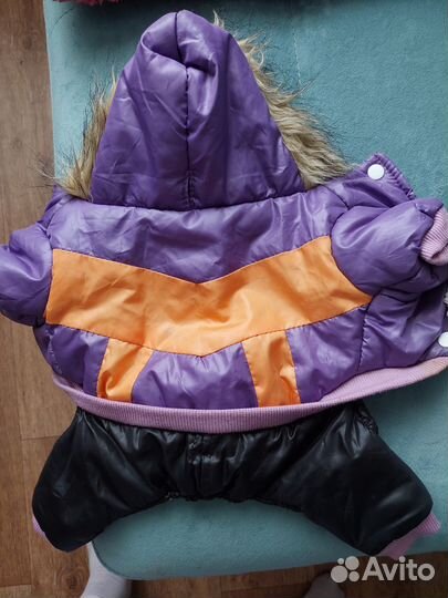 Зимний костюм для собак фиолетовый с мехом