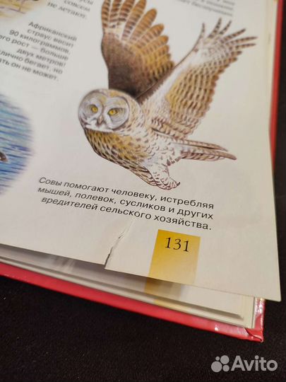 Энциклопедия