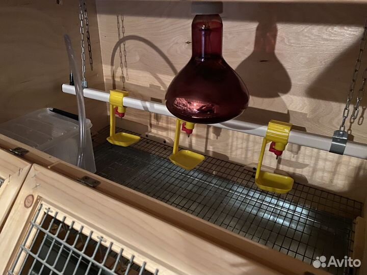 Клетка для перепелов