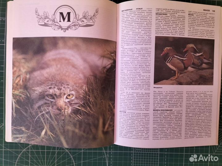 Русская охота книга