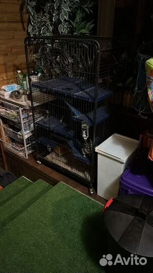 Клетка для грызунов большая