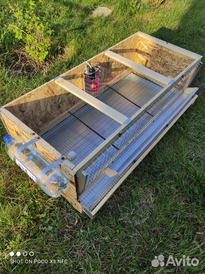 Клетка для перепелов