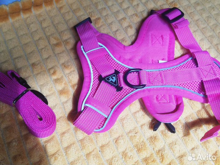 Шлейка для собаки