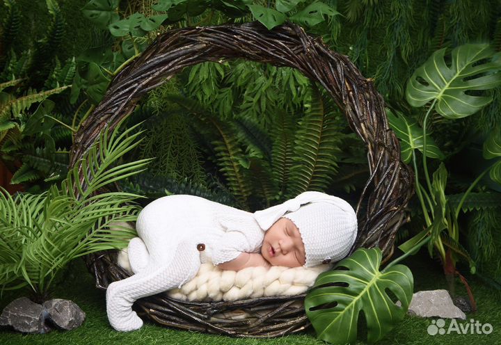 Фотосессия новорожденных. Фотосессия newborn