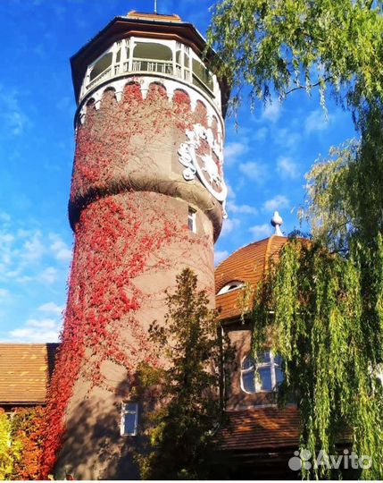Пешеходная экскурсия по Светлогорску