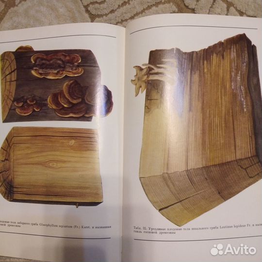 Книги лесной промышленности