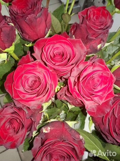 Цветы-розы, хризантема, гвоздика и т.д