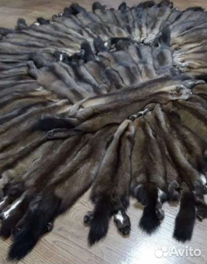 Шкуры соболя