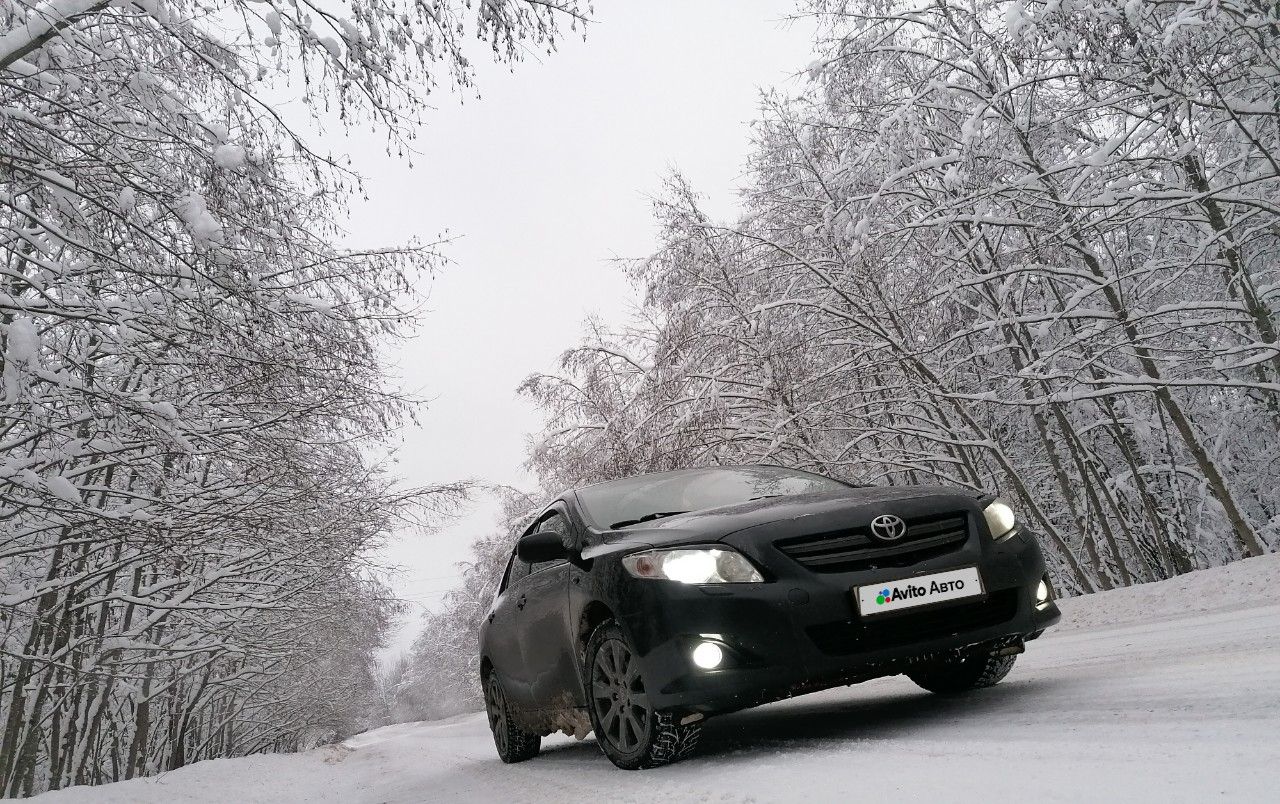 Toyota Corolla: фото владельца