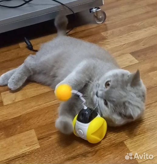 Игрушка для кошки