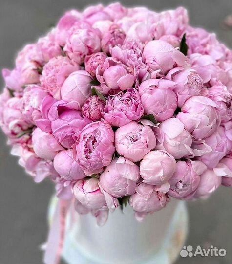 Пионы Букет пионов Доставка цветов