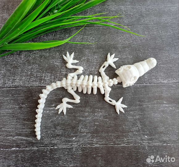 Скелет крокодила подвижный
