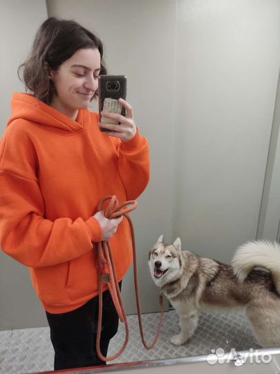 Коррекция поведения собак