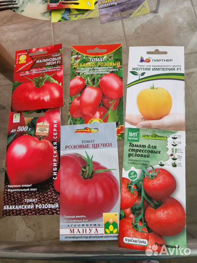 Рассада перцев,томатов,баклажанов, цветов,семена