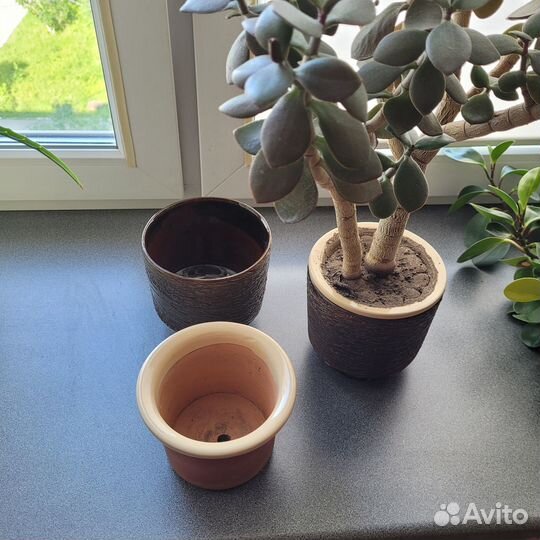 Горшок кашпо керамика