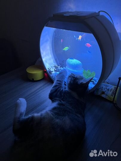 Аквариум Deco O mini