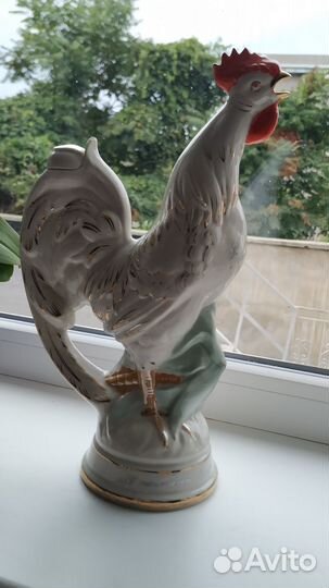 Большой петух на кукурузе. СССР. Городница