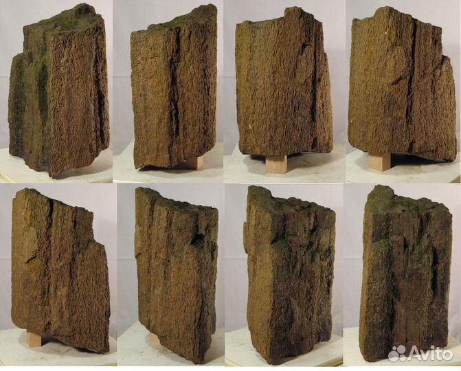 Окаменелое дерево для наружн. или внутр. инсталл