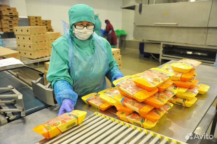 Работа на птицефабрике по вахтовому методу