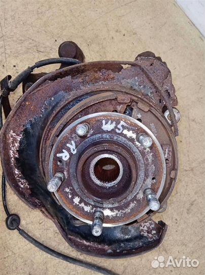 Кулак задний правый KIA Sorento XM