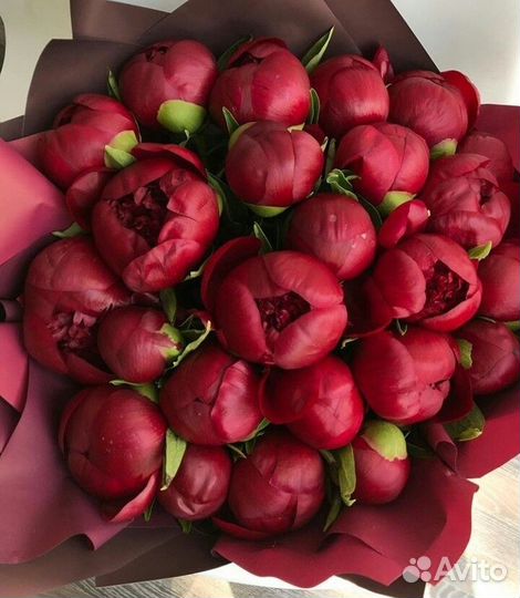 Пионы букет