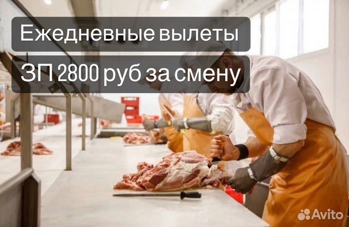 Грузчик с ежедневной оплатой