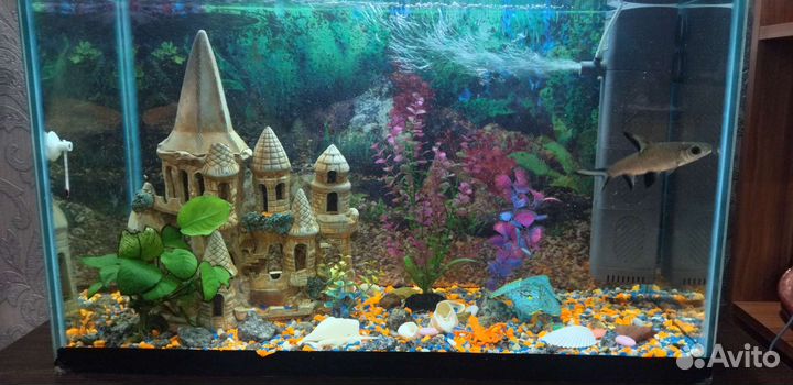 Аквариум