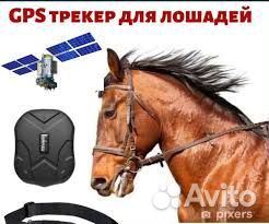 Gps трекер Tkstar TK905