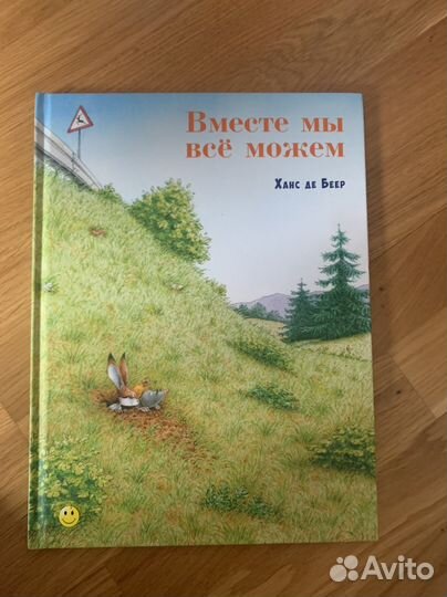 Книга Вместе мы всё сможем Ханс де Беер