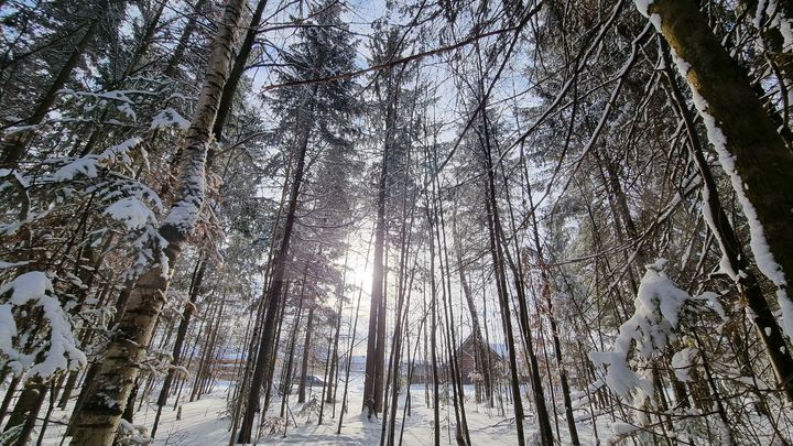 Коттедж 107 м² на участке 4,5 сот.