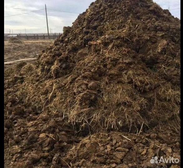 Навоз / Перегной
