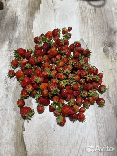 Клубника ягода