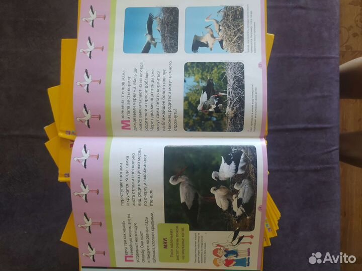 Серия детских книг 