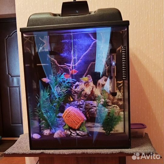 Аквариум с рыбками 40 литров