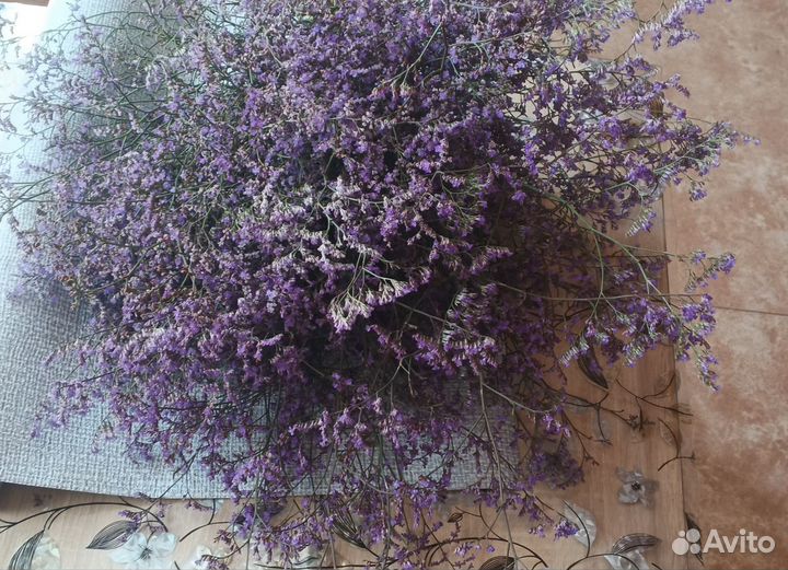 Сухоцветы для интерьера