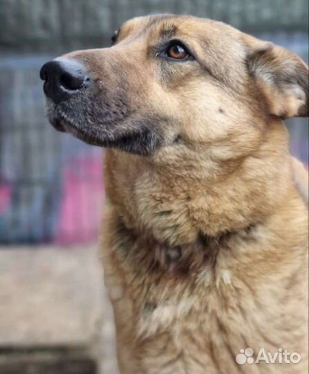 Жду тебя мама