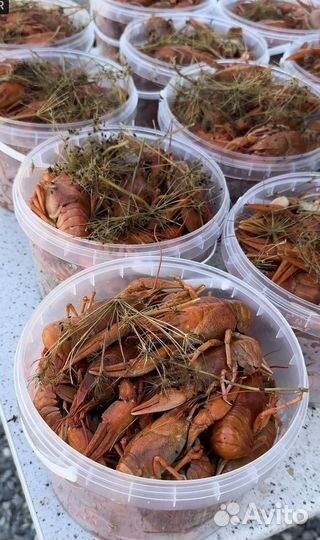 Раки варенные