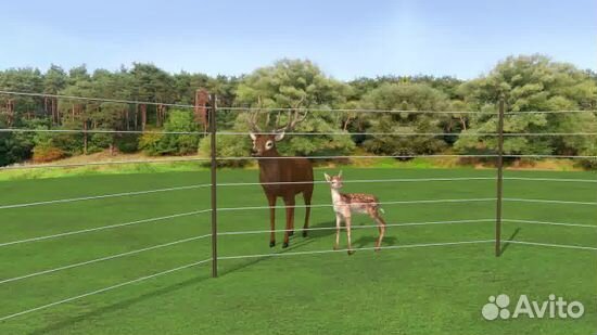 Электропастух