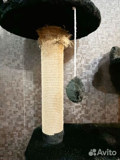 Когтеточка, лазилка, дом для кошек