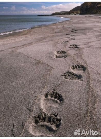 Экскурсии по о. Итуруп