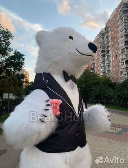 Аэро костюм Ростовая кукла