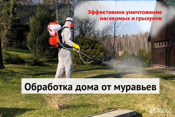 Уничтожение клопов тараканов грызунов грибка плесе