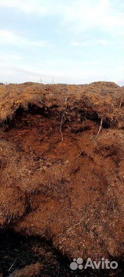 Навоз перегной самовывоз