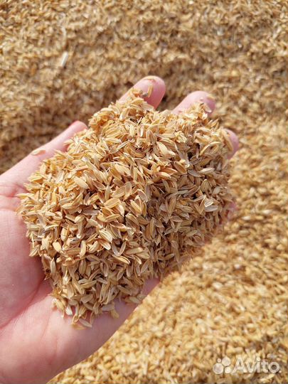 Рисовая шелуха