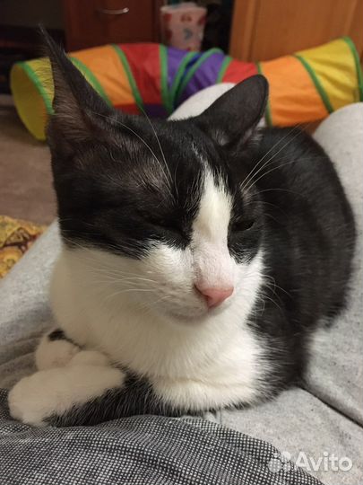 В ответственные руки