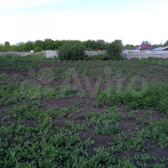 Участок 9,5 сот. (ИЖС)