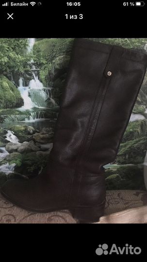 Сапоги демисезонные